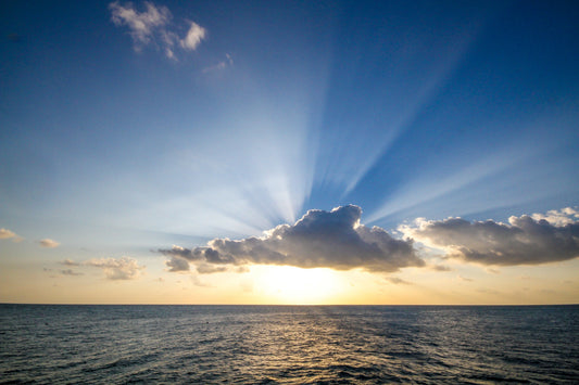 Why Mi Luz Exists
